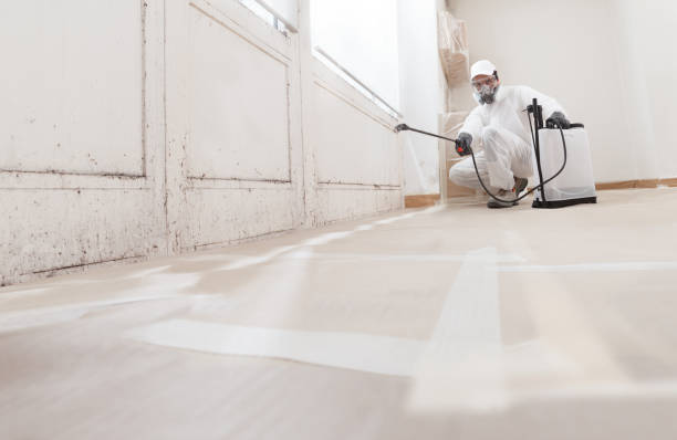 24/7 Emergency Attic Mold Removal experts in Glenville, PA